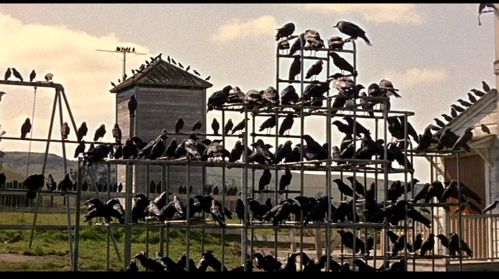 Screen shot from The Birds