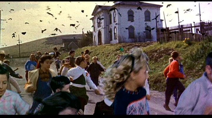 Screen shot from The Birds