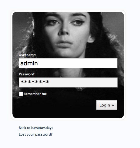 Barbara Steele Login