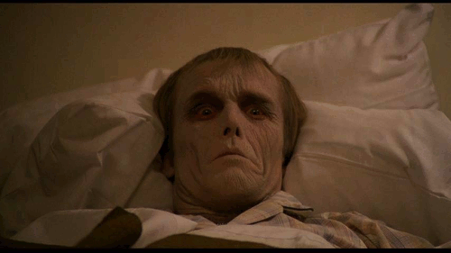 Animated GIF from Dawn of the Dead