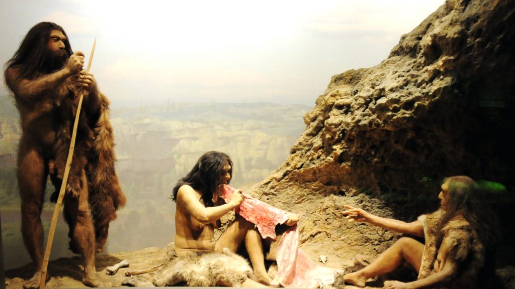 Image credit: Vince Smith's "Early Humans Diorama"